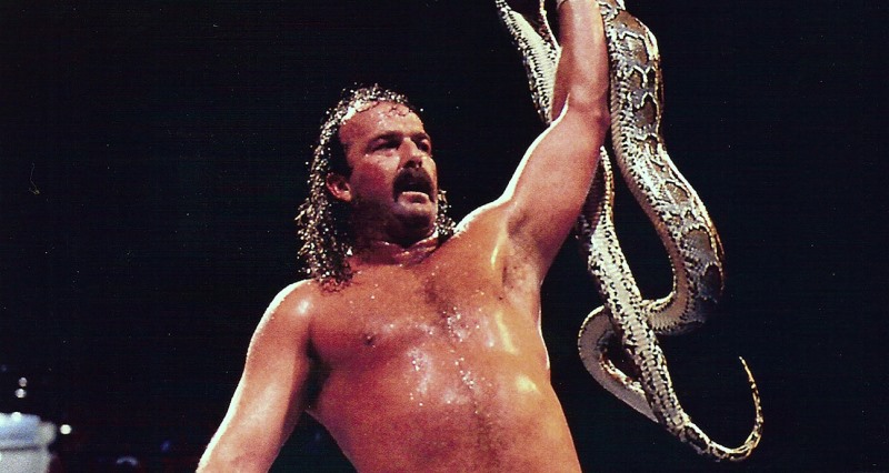 The Resurrection Of Jake The Snake Roberts (1)