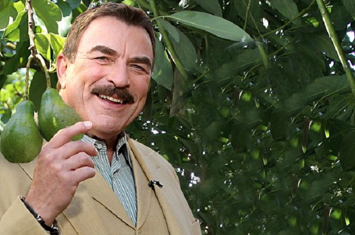 tom-selleck