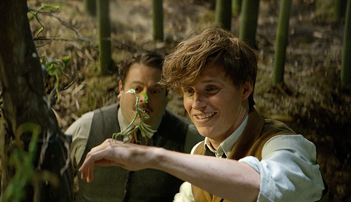 Dan Fogler and Eddie Redmayne in Fantastic Beasts And Where To Find Them