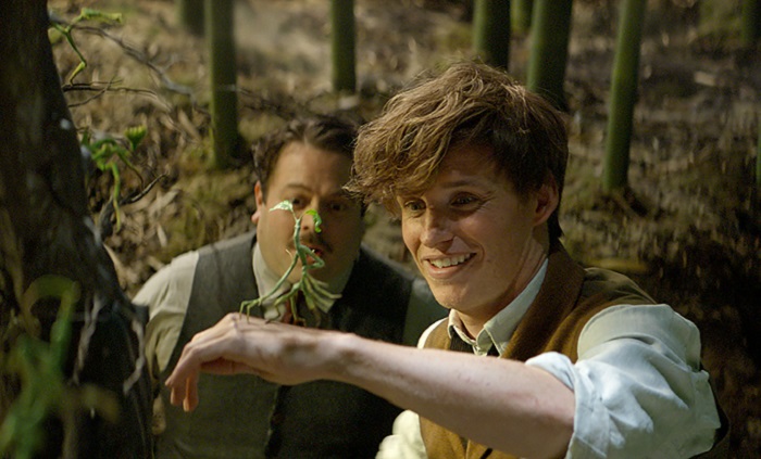 Dan Fogler and Eddie Redmayne in Fantastic Beasts And Where To Find Them