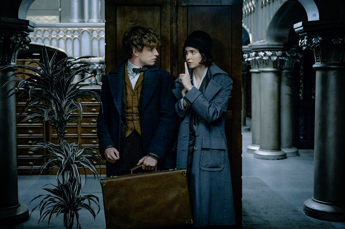 Eddie Redmayne and Katherine Waterston in Fantastic Beasts And Where To Find Them
