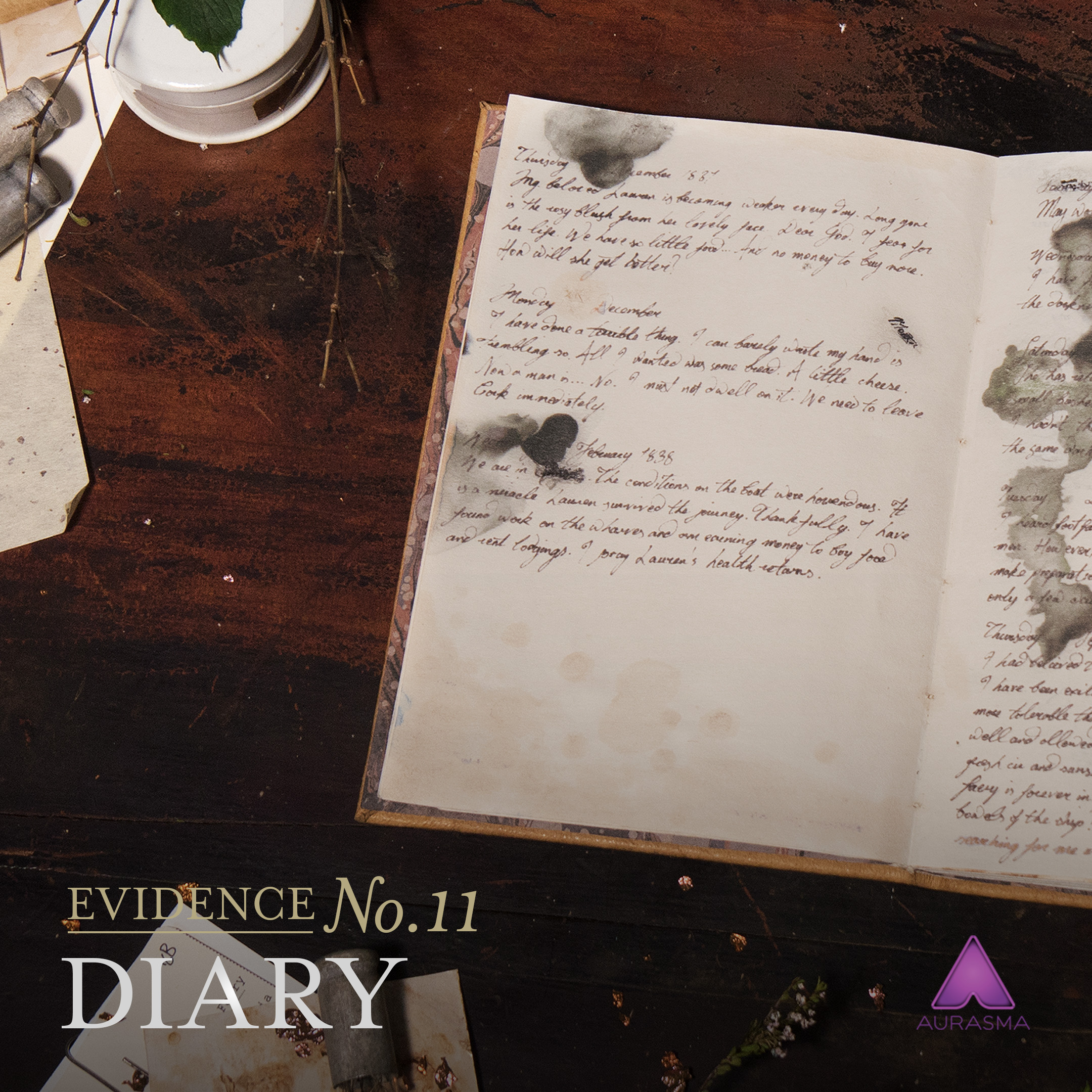 11_diary-003