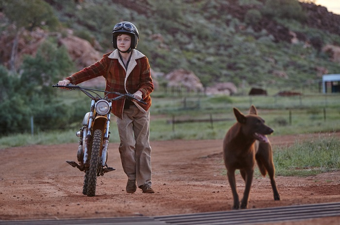 Levi Miller in a scene from Red Dog: True Blue