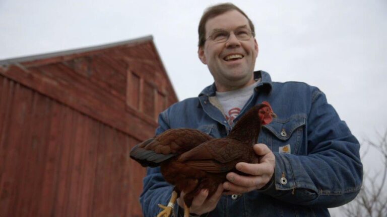 Chicken People