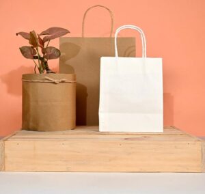 Why Paper Bags Are Gaining Popularity in Australia