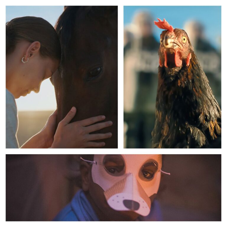 WHAT ANIMALS REVEAL ABOUT US
