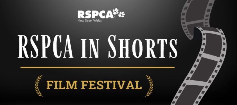 Why RSPCA NSW is rolling out the red carpet for another film festival