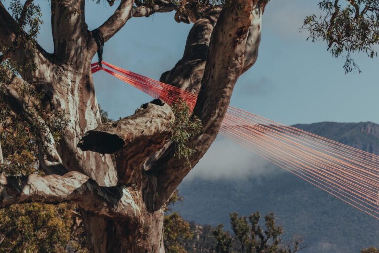 BLUE MOUNTAINS TO HOST FOUR DAYS OF ART, MUSIC AND EXPERIENCES AS SUPERPOSITION REVEALS FULL LINEUP
